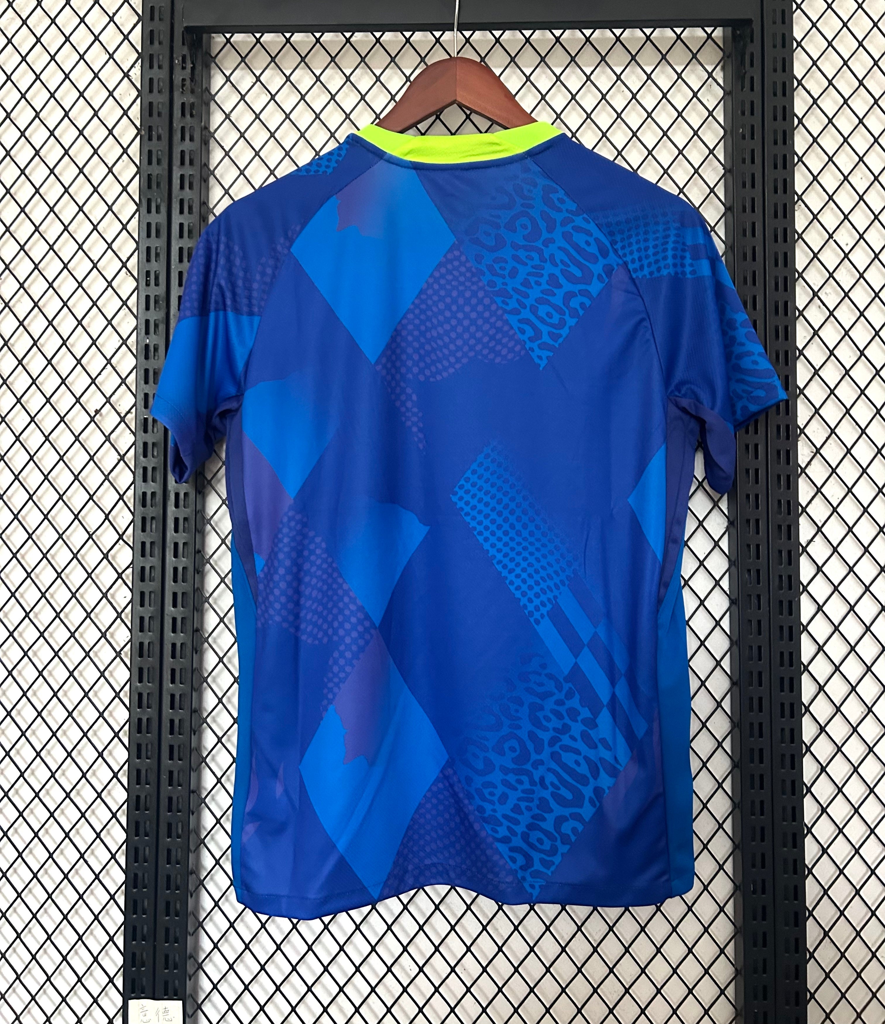 Jersey Woman Brazil lI 25/26 Nike - Blue